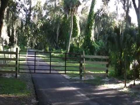 The Gate and Horse Fence